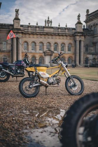 Malle Mile 2025